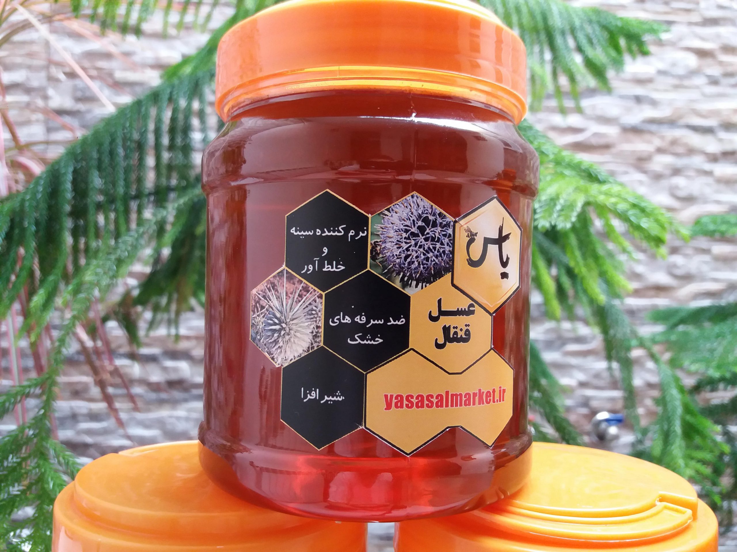 عسل قنقال ترنجبین خارشتر